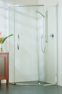 Evolution Shower Screen Installers 45 Degree Doors